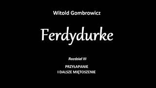 Ferdydurke  rozdział 3 [upl. by Nuawtna]