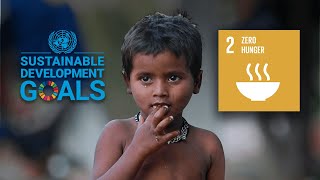 SDG Sustainable Development Goals  Goal 2 Zero Hunger [upl. by Ozmo204]