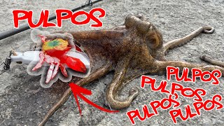 🐙¿Cómo pescar PULPOS🐙 Con PULPERA y EGI´s [upl. by Koehler697]