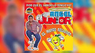 El Mango Relajado  ANGEL EL JUNIOR [upl. by Sivek]