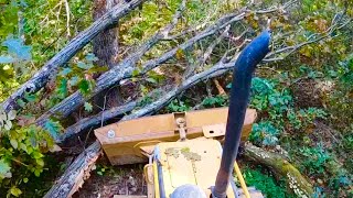 Clearing Old Logging Roads with Caterpillar D4 Bulldozer [upl. by Allyson]