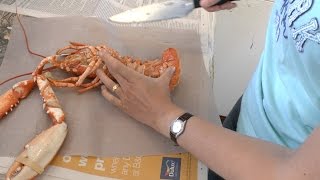 How to Prepare a cooked lobster [upl. by Hewitt]