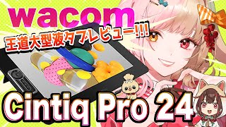 【Wacom Cintiq Pro 24】Cintiq Pro 27は高い…！ならこっちを買えばいいじゃない！【レビュー】 [upl. by Asia]