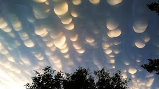 The 10 Basic Types of Clouds and How to Recognize Them [upl. by Atirrehs219]