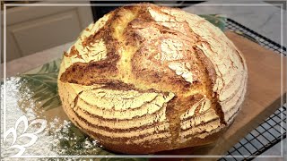 Mein OhneKneten Brot mit dem Weltbesten Geschmack [upl. by Assirehs]