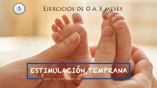 Estimulación Temprana de 0 a 3 meses [upl. by Atiniv]