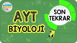 AYT Biyoloji Full Tekrar  Son Tekrar Kampı 2020 [upl. by Attirehs322]