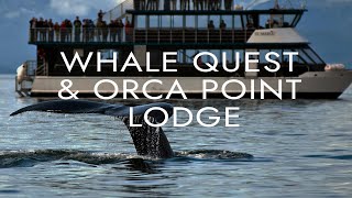 Whale Quest amp Orca Point Lodge  Shore Excursion  NCL [upl. by Eeznyl647]