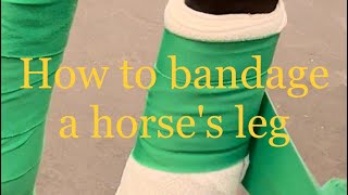 How to bandage a horses leg SupportStandingShipping bandage AAEP guidelines CPE [upl. by Devaj795]