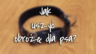 Jak uszyć obrożę dla psa [upl. by Fiske598]