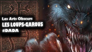 TOUT SAVOIR SUR LES LOUPSGAROUS DANS HARRY POTTER [upl. by Ramsay]