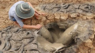 Asian Traditional Fishing by Village Boy  Fish Catching in the Beautiful Natural Field [upl. by Leunamme]