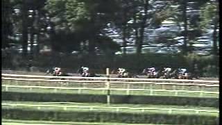 Bet Twice  1987 Belmont Stakes [upl. by Powe]