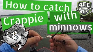 How to catch crappie with minnows  how to rig live bait [upl. by Nishom]