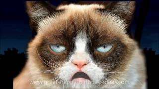 GRUMPY CAT HAPPY BIRTHDAY SONG TOO FUNNY [upl. by Hayimas]