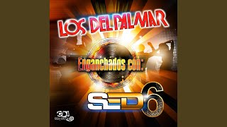 Enganchados Con Sed 6 [upl. by Suollecram]