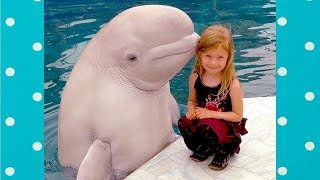 Amazing Funny Dolphin Make Baby Laugh Funny Baby And Pet [upl. by Oniotna]