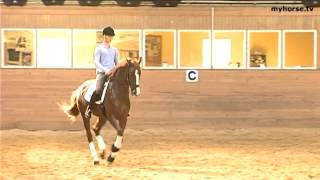 Dressage Exercise  Flying changes [upl. by Udenihc]