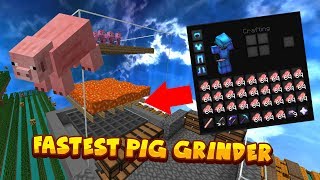 FASTEST PIG GRINDER EVER  Hypixel Skyblock [upl. by Cima]