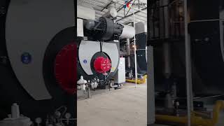 Kenuo 2 sets 20 tonhr Fire Tube Gas Fired Steam Boiler for Winery [upl. by Seabrooke816]