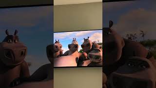 Moto moto madagascar madagascar2 motomoto movie peliculas movieclips [upl. by Airot]