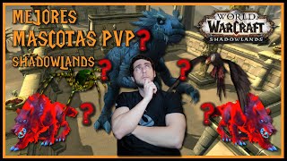 🐾 MEJORES MASCOTAS PvP para CAZADOR 🏹  World of Warcraft SHADOWLANDS [upl. by Valle]