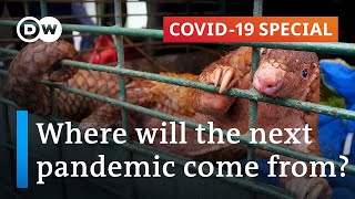 Zoonotic diseases Can we prevent the next pandemic  Covid19 Special [upl. by Acilgna455]