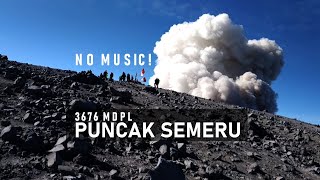 PUNCAK SEMERU MAHAMERU Kalimati ke Puncak Mahameru  Pendakian Gunung Semeru [upl. by Ahsoek]