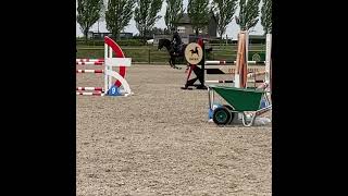 Charisto vd heffinck training 205 [upl. by Yejus377]