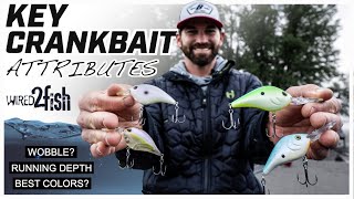 Master Crankbait Fishing with Keith Carson From Shallow to Deep [upl. by Jourdan]