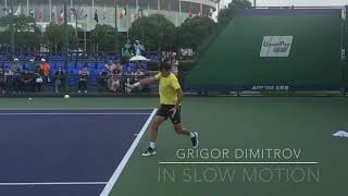 Grigor Dimitrov  Forehand amp Backhand in Slow Motion TENFITMEN Shanghai Masters 2017 [upl. by Nolyak]