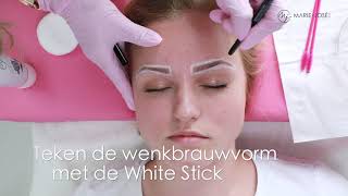 Wenkbrauwen verven met Henna  wenkbrauwen epileren shapen vormen kleuren [upl. by Alejandro]