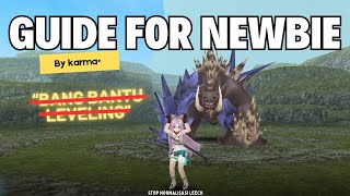 Guide for Newbie  Toram Online [upl. by Doowle]