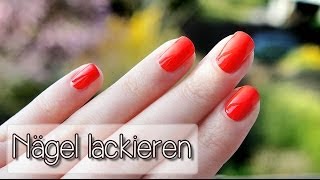 Nägel sauber lackieren  Tutorial  Collchen14 [upl. by Osi589]