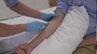 How to select the best vein for clinical skills cannulation and venepuncture [upl. by Atires646]