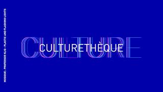 Tutorial de uso  Culturethèque [upl. by Aihsiyt354]