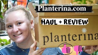 PLANTERINACOM HAUL  REVIEW PLANT UNBOXING [upl. by Bartram58]