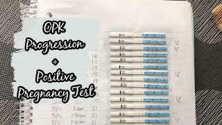 OPK Progression  Positive Pregnancy Test  Irregular Cycles [upl. by Warwick717]