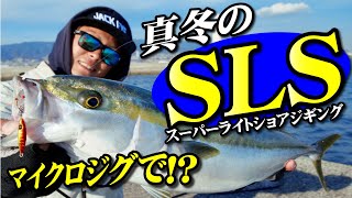 真冬のスーパーライトショアジギング！マイクロジグで、青物炸裂⁉ [upl. by Dedrick559]