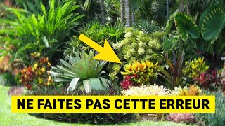 15 Plantes TROPICALES pour Jardin 😍 Plantes Exotiques [upl. by Doolittle556]