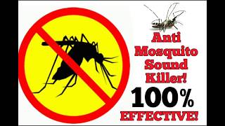 FREE anti Mosquito sound 100 EFFECTIVE [upl. by Bradford]