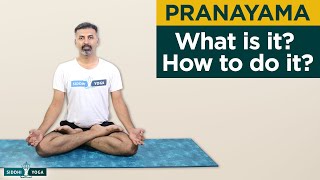 What is Pranayama and How to do it for Beginners Breathing Basics  Yoga Breathing Exercises [upl. by Anela338]