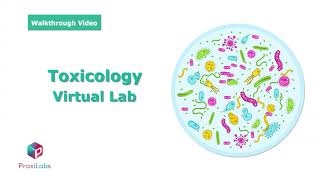 In Vitro Viability Assay Using Tetrazolium Salt XTT  Walkthrough Video [upl. by Aimet]