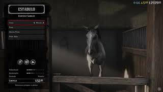 Red Dead Redemption 2  Horses for Courses Trophy [upl. by Namlak]