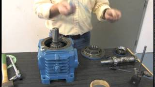 How To Change Bearings on Cone Drive Gearbox [upl. by Mccowyn743]