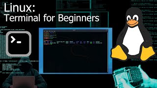 Kali Linux Terminal  Command Line for Beginners Tutorial [upl. by Nahtnahoj]