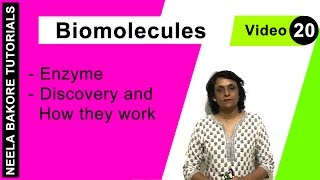 Biomolecules  NEET  Enzyme  Discovery and How They Work  Neela Bakore Tutorials [upl. by Cristy]