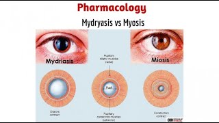 Cause of Mydriasis  Dilated and fixed pupil [upl. by Aid]