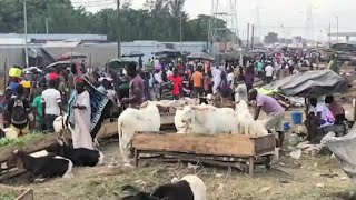 Côte divoire CÉLÉBRATION DE LA TABASKI [upl. by Gunilla356]