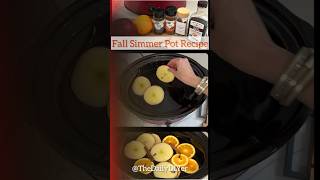 🍁Cozy Fall Simmer Pot  Easy amp So Good [upl. by Haret]